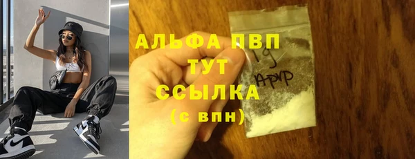 ПСИЛОЦИБИНОВЫЕ ГРИБЫ Белокуриха