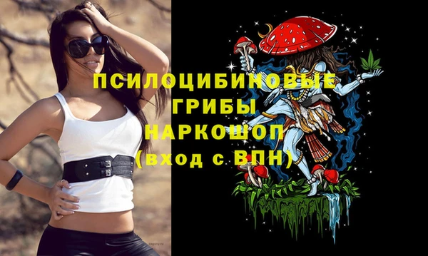 ПСИЛОЦИБИНОВЫЕ ГРИБЫ Белокуриха