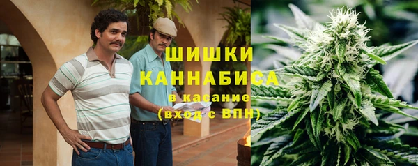 ПСИЛОЦИБИНОВЫЕ ГРИБЫ Белокуриха